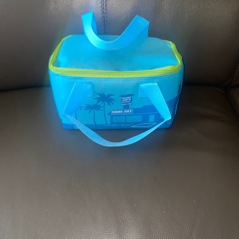 Trader Joe’s Insulated Lunch Bag
